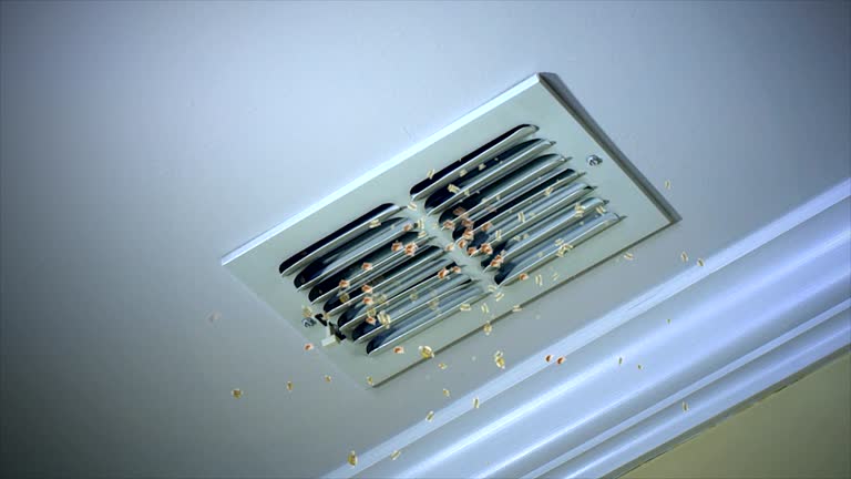Best Local Air Duct Cleaning Services  in Ennis, TX